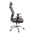 Chair Siona