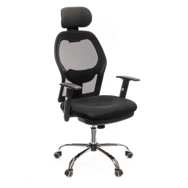 Chair Siona