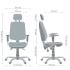 Chair REGBI HR MF chrome (REGBI) AMF