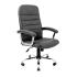 Chair LION U chrome M1 P3/P5 Richman