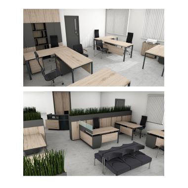 3D renderings