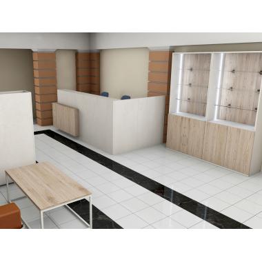 3D renderings