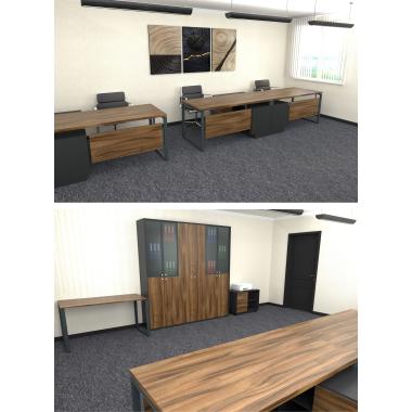 3D renderings